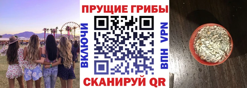 дарнет шоп  Туапсе  Псилоцибиновые грибы Psilocybine cubensis 